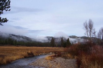River and fog