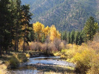 The West Fork