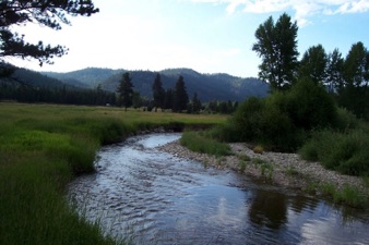 River by meadow