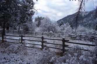 Fence in snow